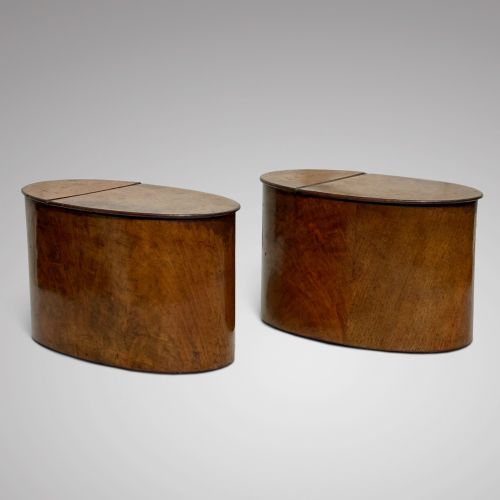 PAIR OF GEORGIAN OVAL TEA CADDIES
